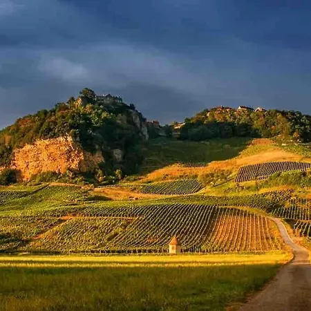 Gite De La Vigne Aux Lacs
